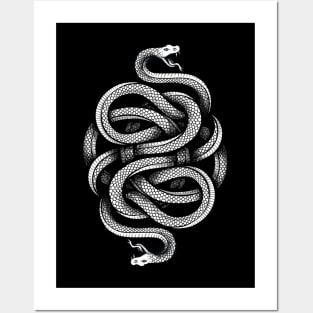 Snake Knot Posters and Art